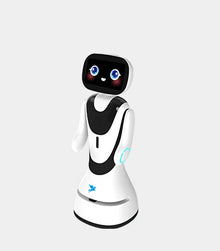 Load image into Gallery viewer, Timo by Alpha Robotics