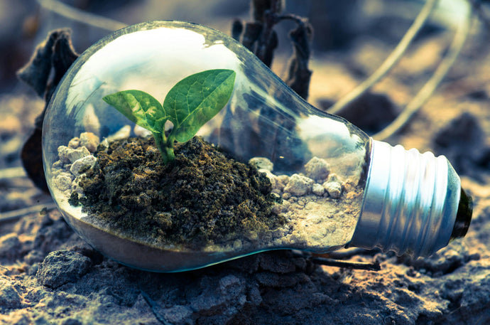 The Environmental Benefits of Robotics
