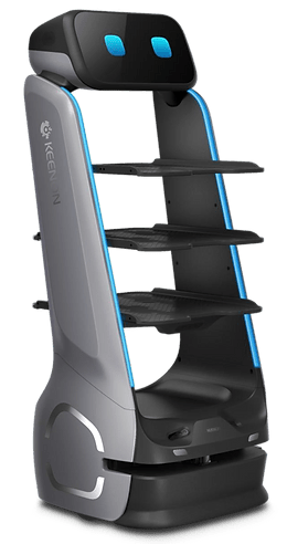 The Ultimate Waiter Robot: DINERBOT T9 Pro