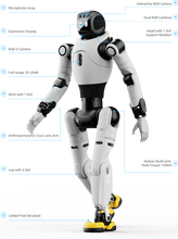 Load image into Gallery viewer, AGIBOT X2 Lite Humanoid Robot - Useabot
