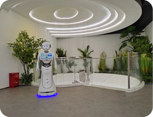 Load image into Gallery viewer, Alice humanoid reception robot — in a hospital
