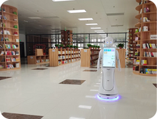 Load image into Gallery viewer, Alice humanoid reception robot — in a museum
