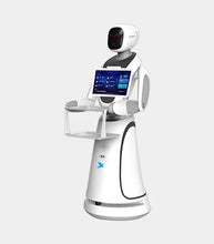 Load image into Gallery viewer, Amy Delivery by Alpha Robotics

