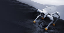 Load image into Gallery viewer, AGIBOT D1 EDU quadruped robot overview
