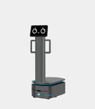 Load image into Gallery viewer, Panda AMR F150 by Alpha Robotics
