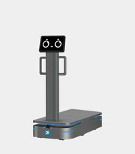 Load image into Gallery viewer, Panda AMR F300 by Alpha Robotics
