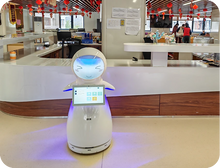 Load image into Gallery viewer, Snow AI reception robot — Kindergarten
