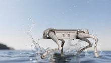 Load image into Gallery viewer, AGIBOT D1 Ultra mobility across complex terrain
